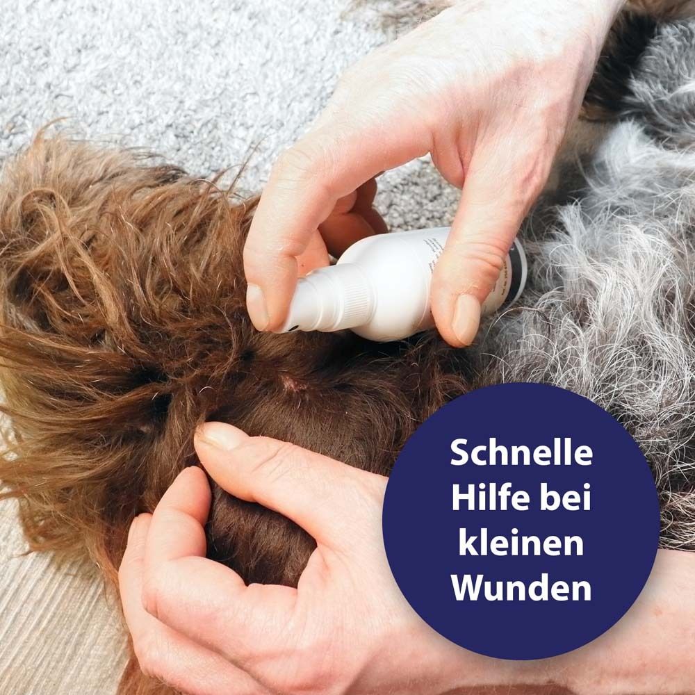 Canosept® Wundspray für Hunde 75 ml