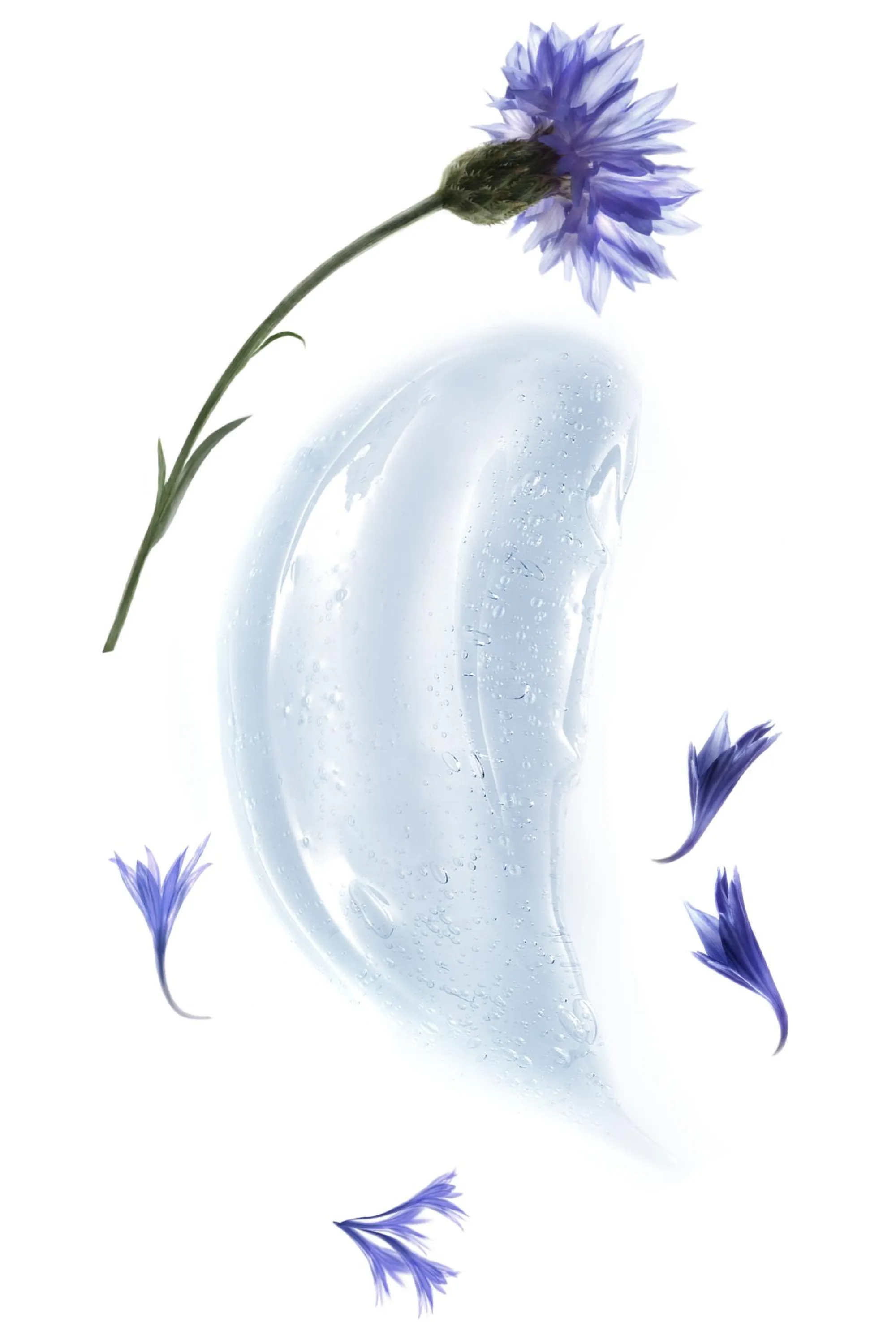 Klorane Crème d’eau au Bleuet bio et Acide hyaluronique-50 ml