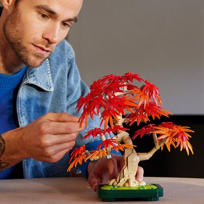 LEGO Botanicals 10348 Bonsai-tre: Japansk lønn