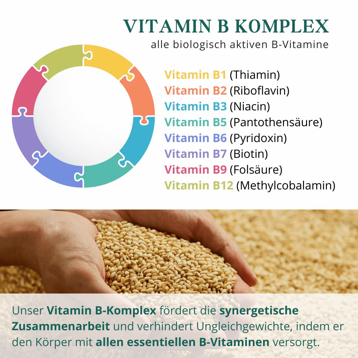 meinVitalium - reine Vitamin-B Komplex Kapseln
