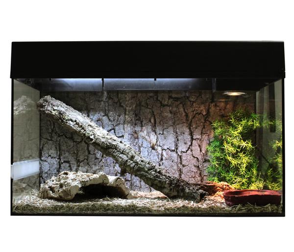 Lucky Reptile Terrarium Starter Kit