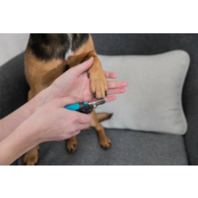 Coupe-ongles pour chiens chats et petits animaux