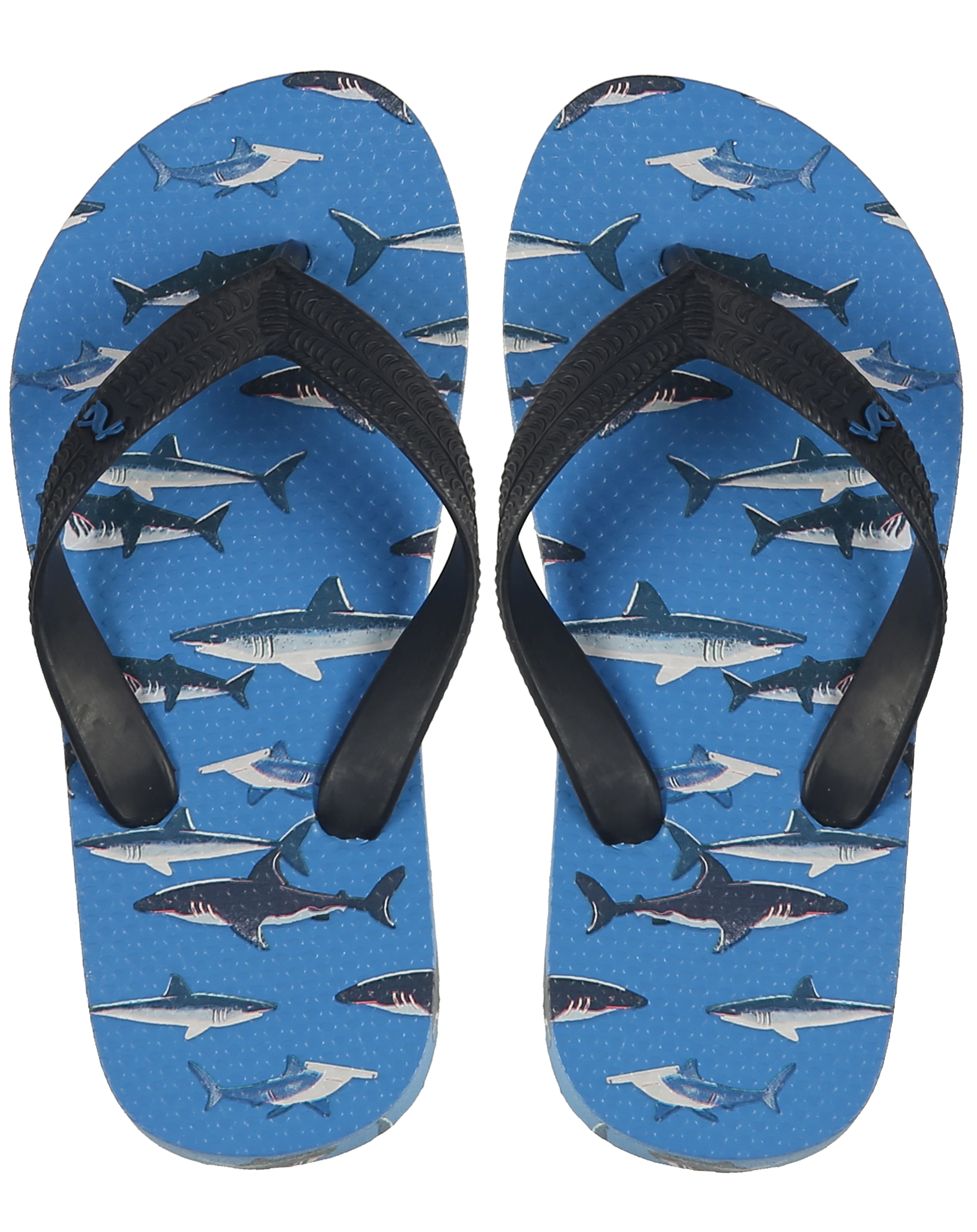 Zehentrenner JNR FLIP - SHARK in blue