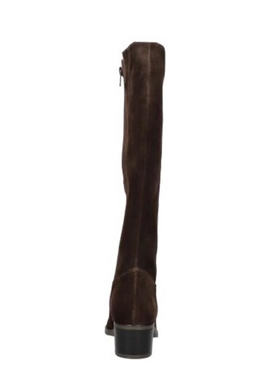 DL Sport 6824 Cacao (vers 02)