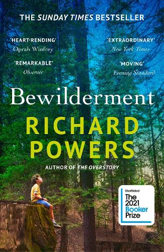 Bewilderment (Paperback)