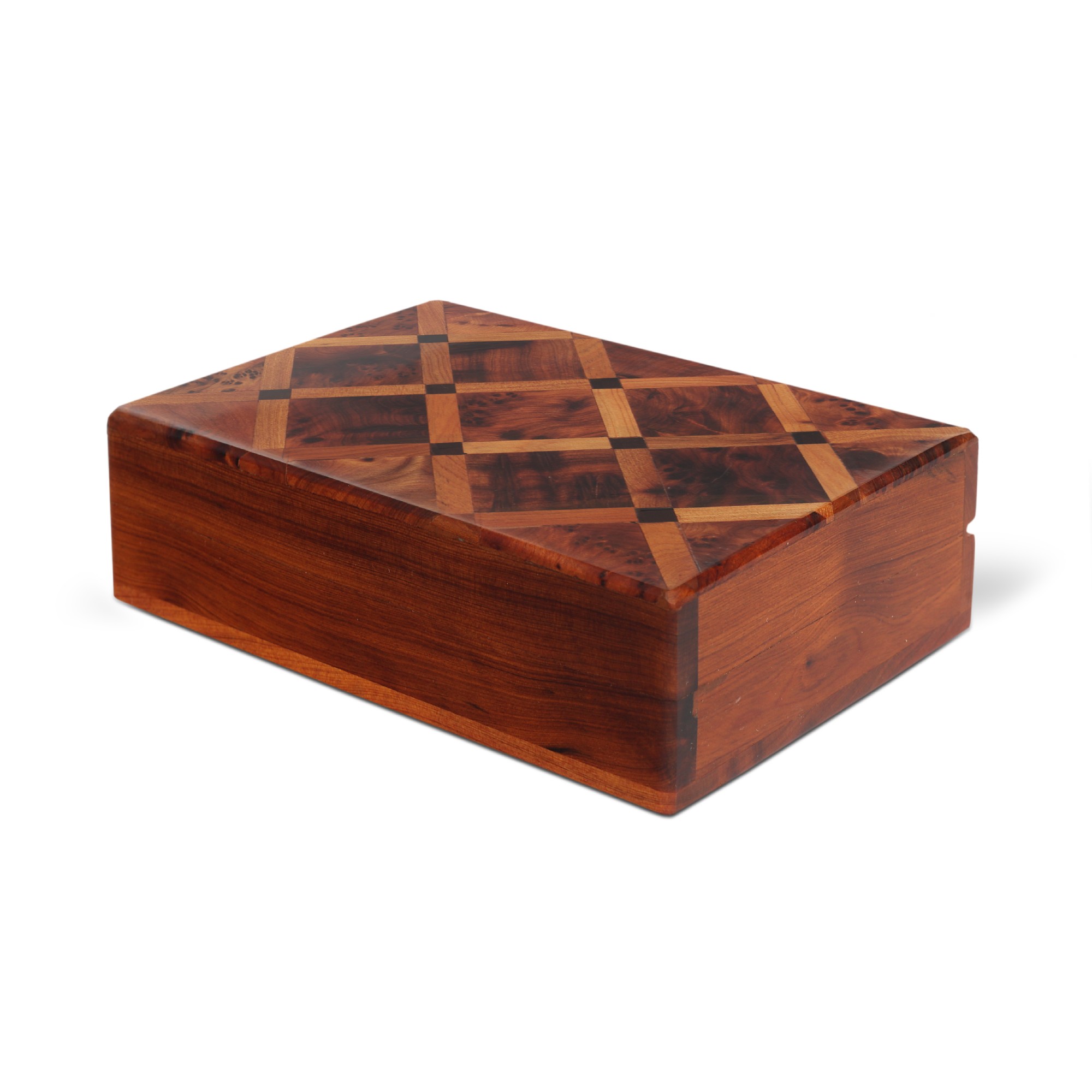 Thuja Box, T 10 cm, B 14,5 cm, H 5 cm von fischer's lagerhaus