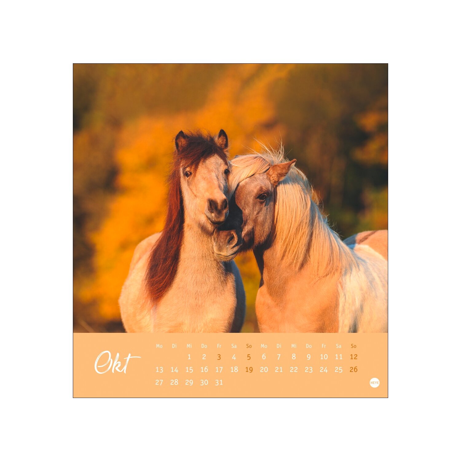 Postkartenkalender Pferde 2025 - Starke Freunde  - 2025