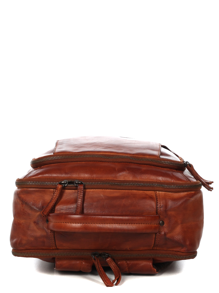 Sac À dos ordinateur Bear Design Cow Lavato Jayden XL 17.3 pouces
