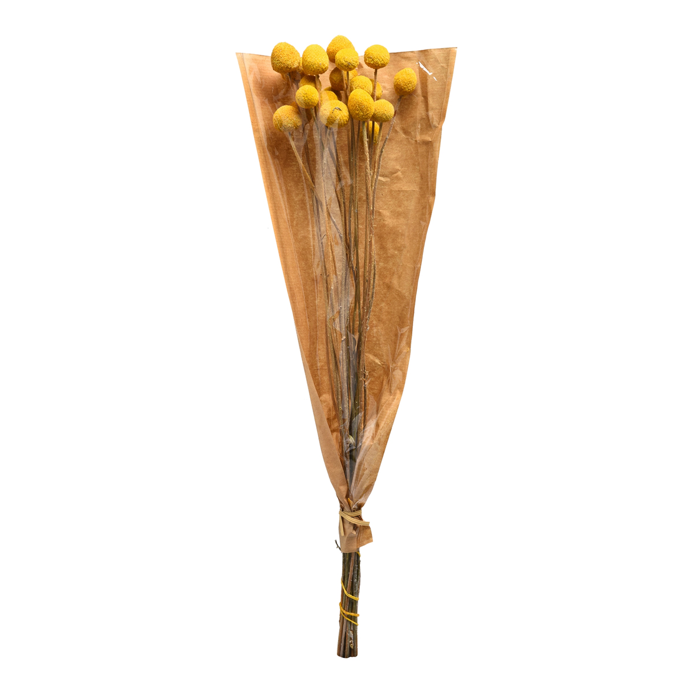 gelb, L 55 cm
