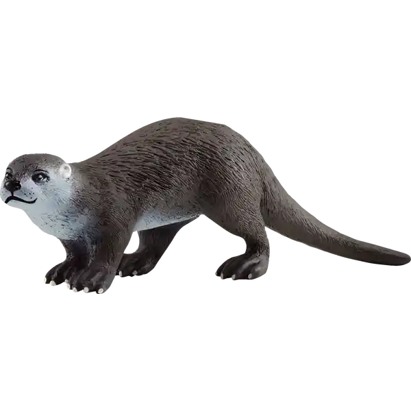 14865 Fischotter