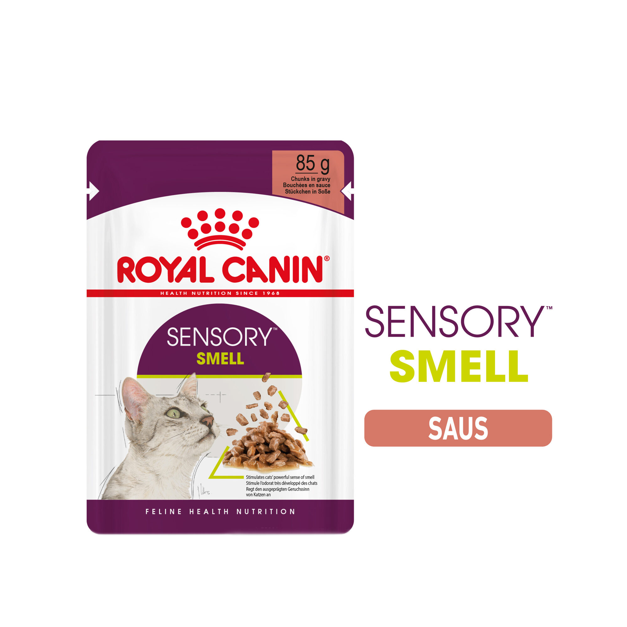Royal Canin FHN Sensory Smell In Gravy