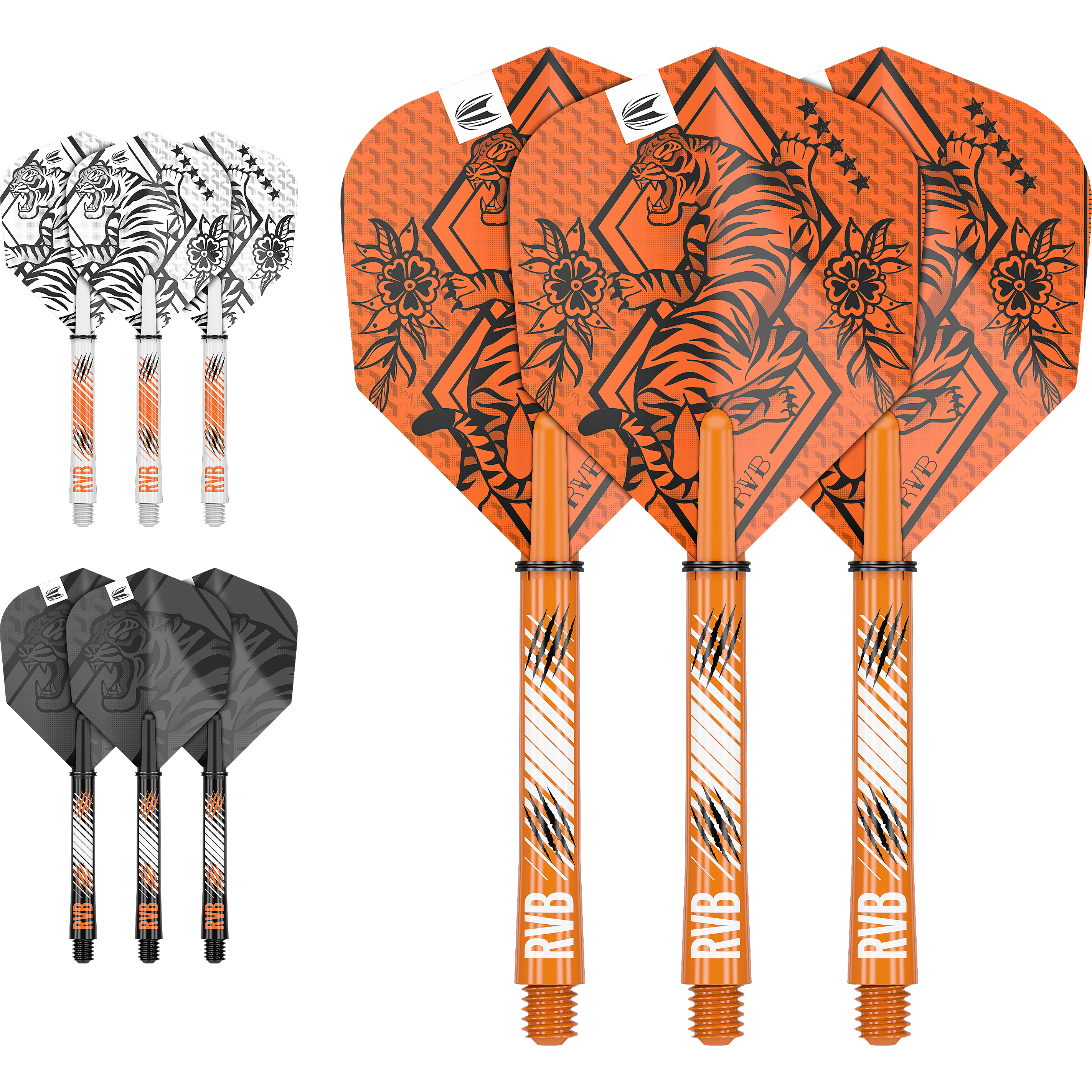 Target - Raymond van Barneveld Ink Flight & Shaft Kit
