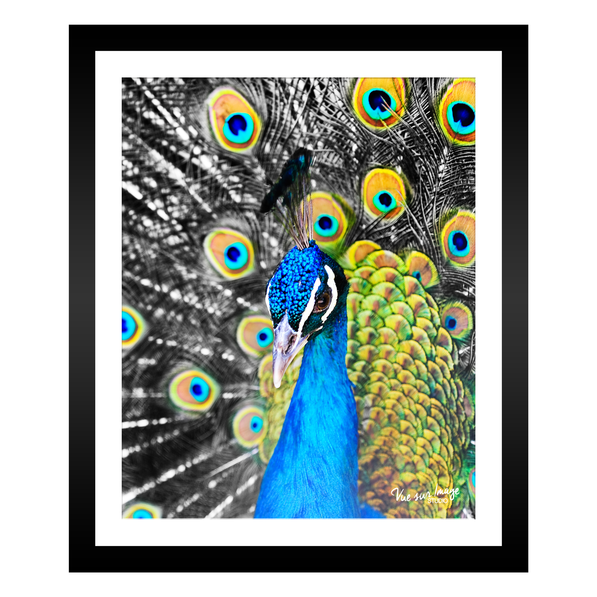 TABLEAU 25X30CM BAGUETTE NOIRE MAT PAON