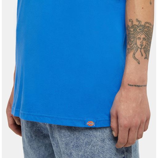 Dickies Goose T-shirt, Turkish Sea, XL