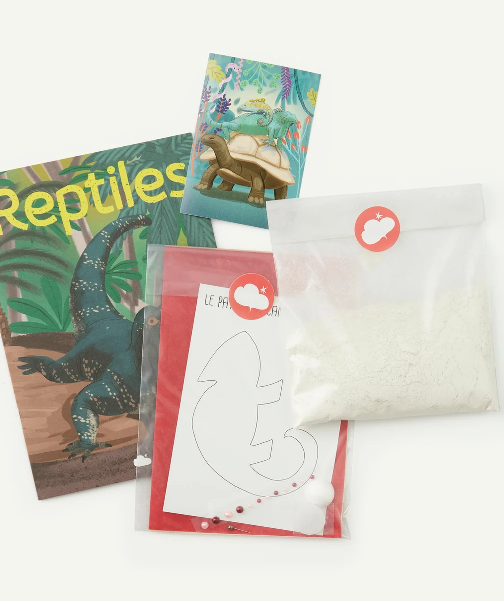 L’ATELIER IMAGINAIREKIT CRÉATIF REPTILES