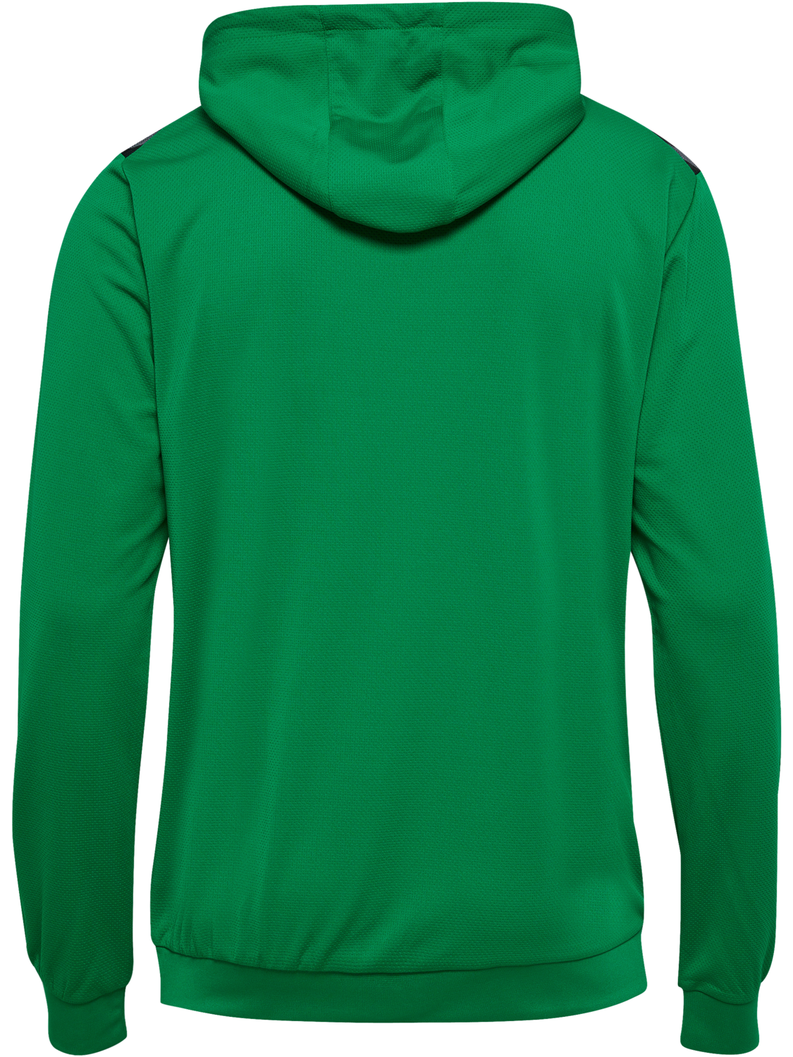 hmlAUTHENTIC PL HOODIE