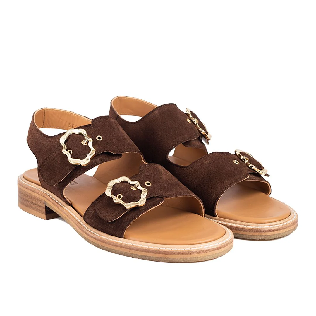 Angulus Sandal nut