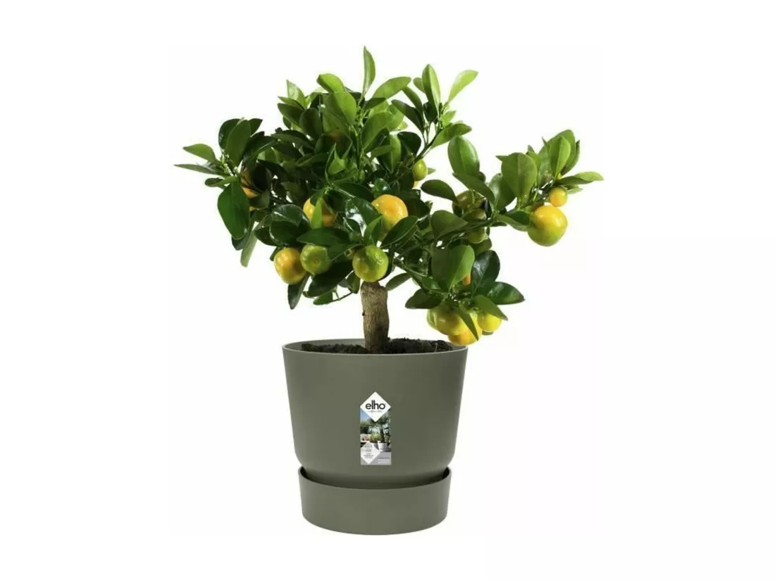 Pot de fleurs rond 30 - Extérieur Ø 29,5 x 27,8 cm - Vert feuille