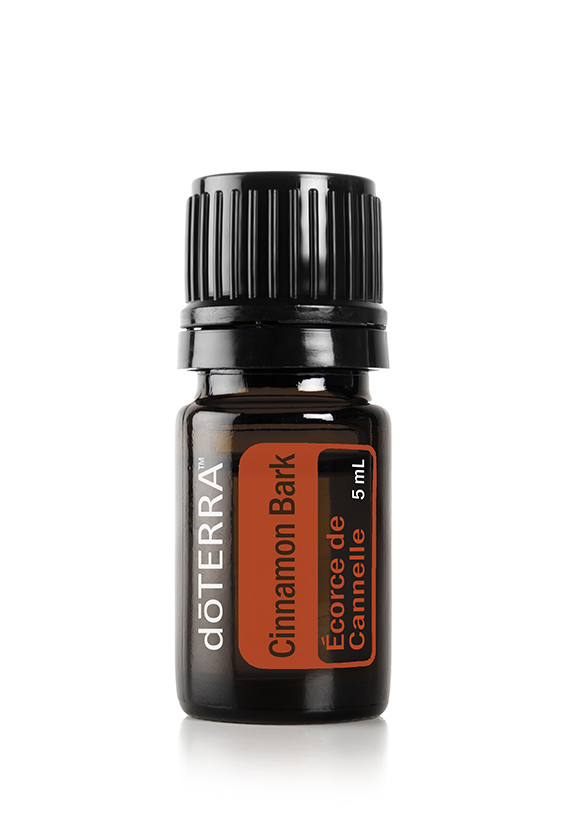 Huile d'écorce de cannelle  Cinnamomum zeylanicum