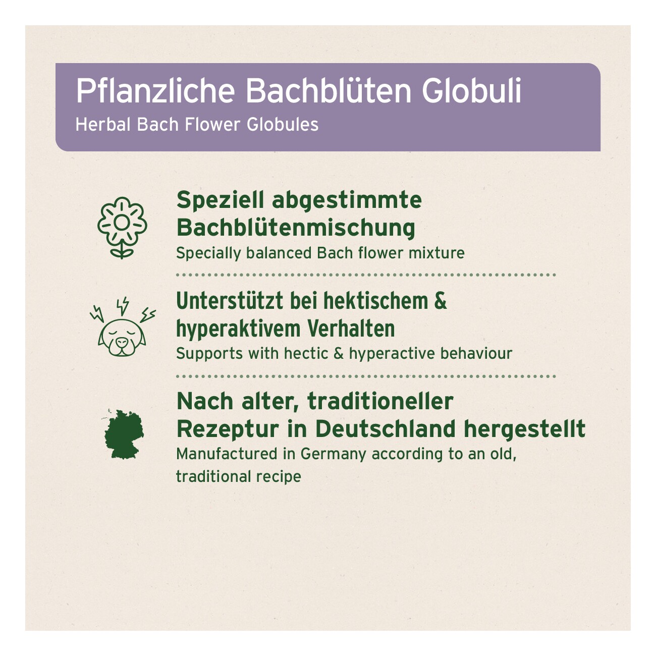 AniForte Bachblüten No. 31 Vervain