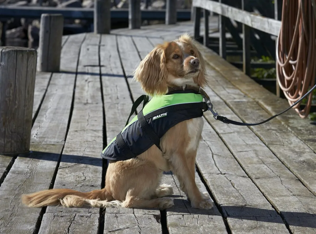 Baltic Pet Aid Mascot Uv-yellow, Black