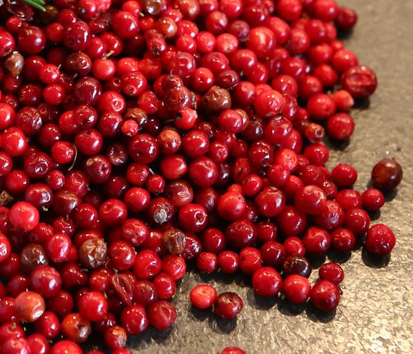 Preiselbeere 'Red Pearl'