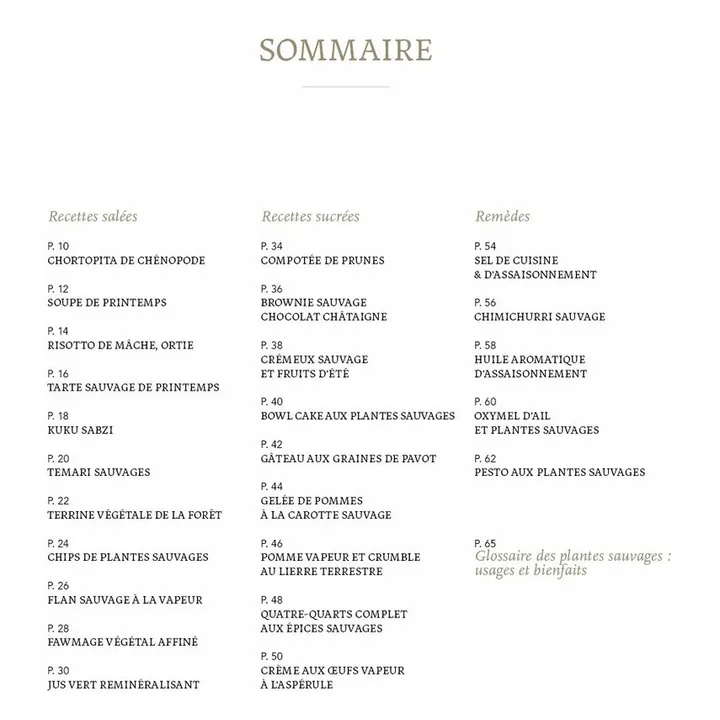 On The Wild Side Livre Wild Therapy, recettes et remèdes maison à base de plantes sauvages - FR