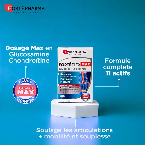 Forté Pharma Forté Flex Max Joints 120 comprimidos