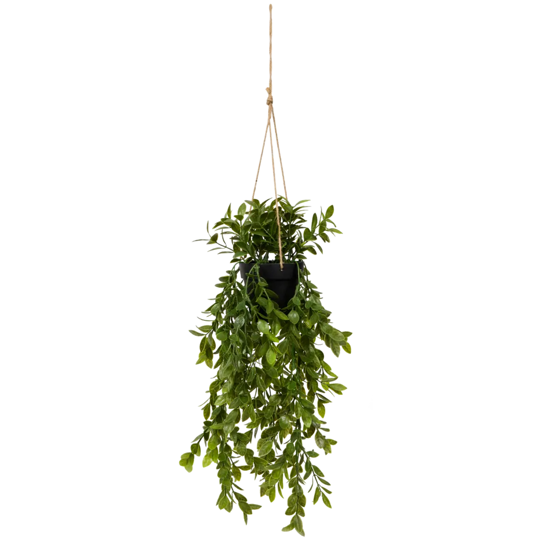 Plante suspendue artificielle