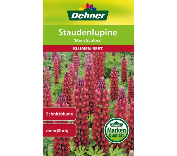 Dehner Samen Staudenlupine 'Mein Schloss'