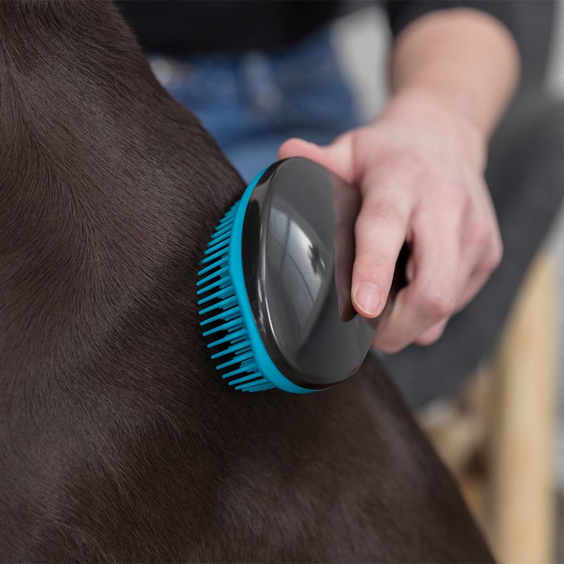 Brosse douce Trixie