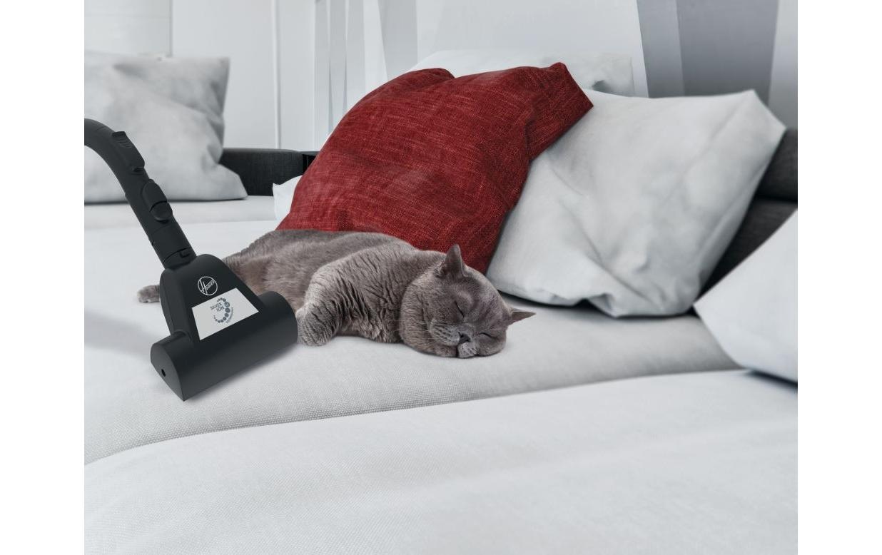 Hoover Bodenstaubsauger »Staubsauger HP330ALG 21« 850 W mit Beutel