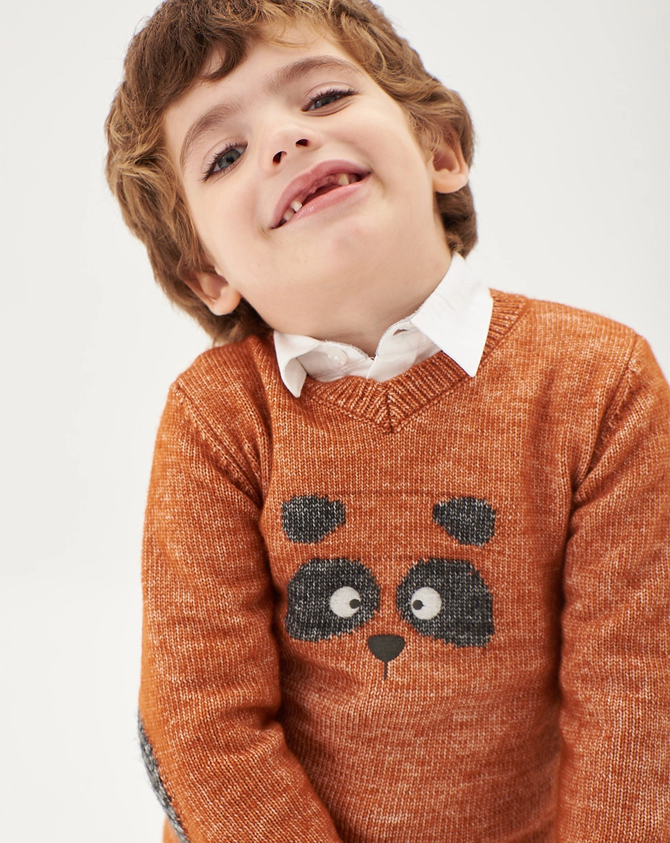 Strickpullover WASCHBÄR in braun