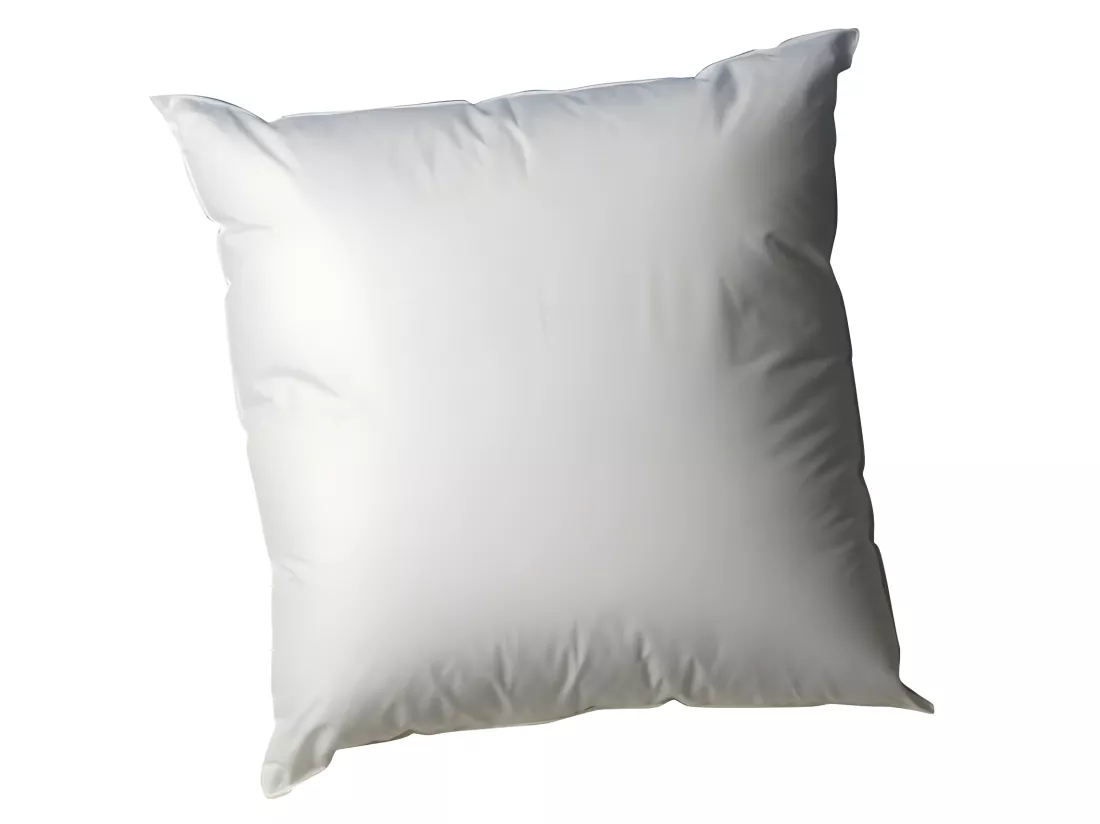BLANREVE Oreiller en coton - 60 x 60 cm - Blanc