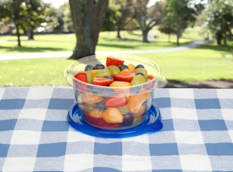 Sistema 760ml Small Bowl 4 Pack, Skål, Rund, 0,76 L, Blå, Transparent, Polypropylen (PP), New Zealand