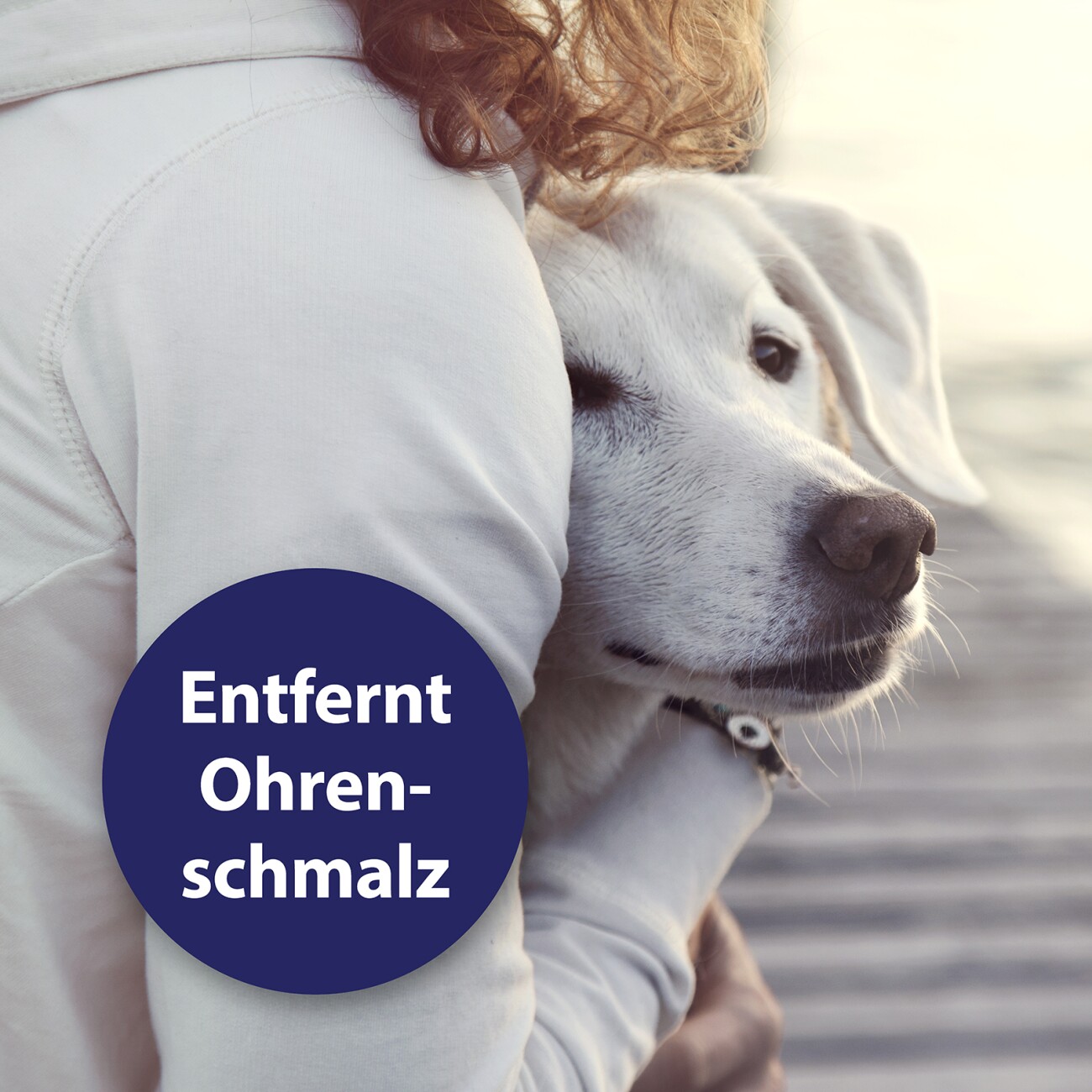 Canosept Ohrpflege Finger-Pads für Hunde 50 Stück