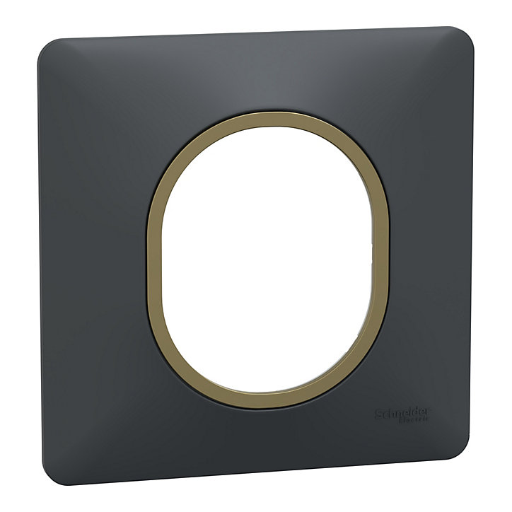 Plaque de finition simple Schneider Electric Ovalis gris anthracite bague laiton