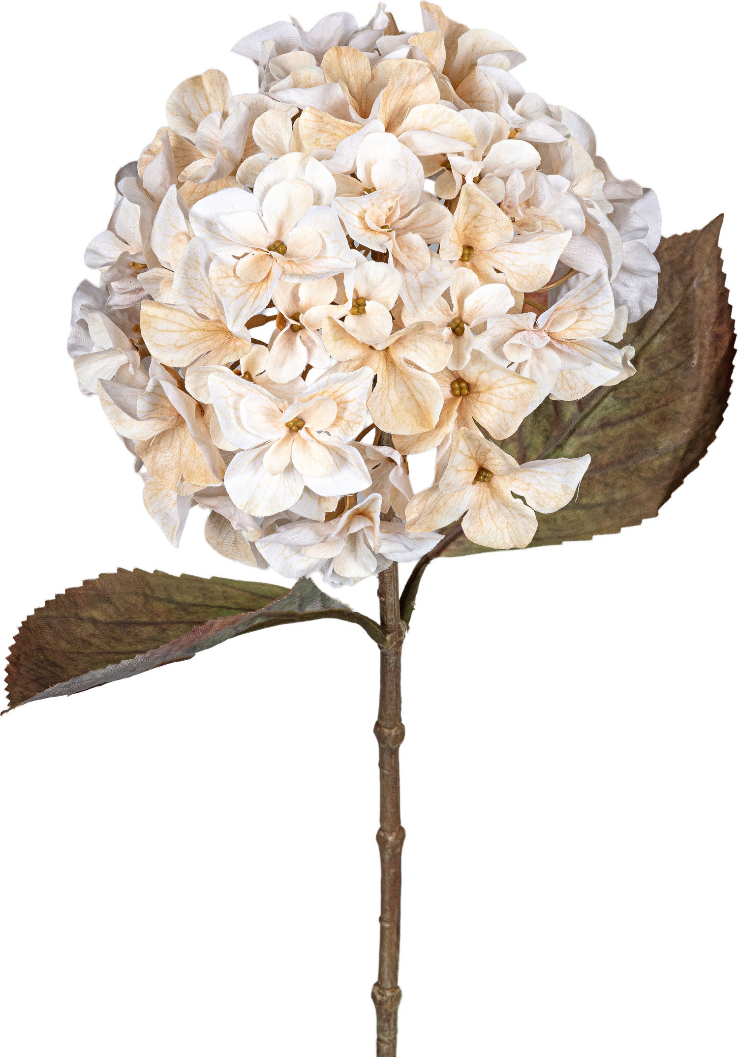 Louis Maes kunstbloem Hortensia wit 65 cm