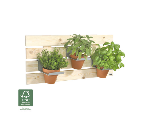 Designelement Wagner System Greenwall 79 x 31 cm grenen