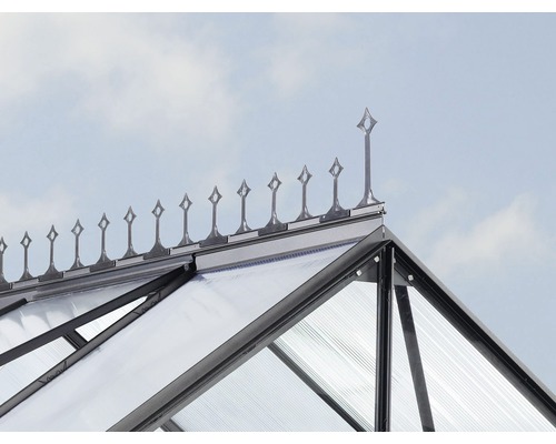 Vitavia daknokdecoratie, zwart