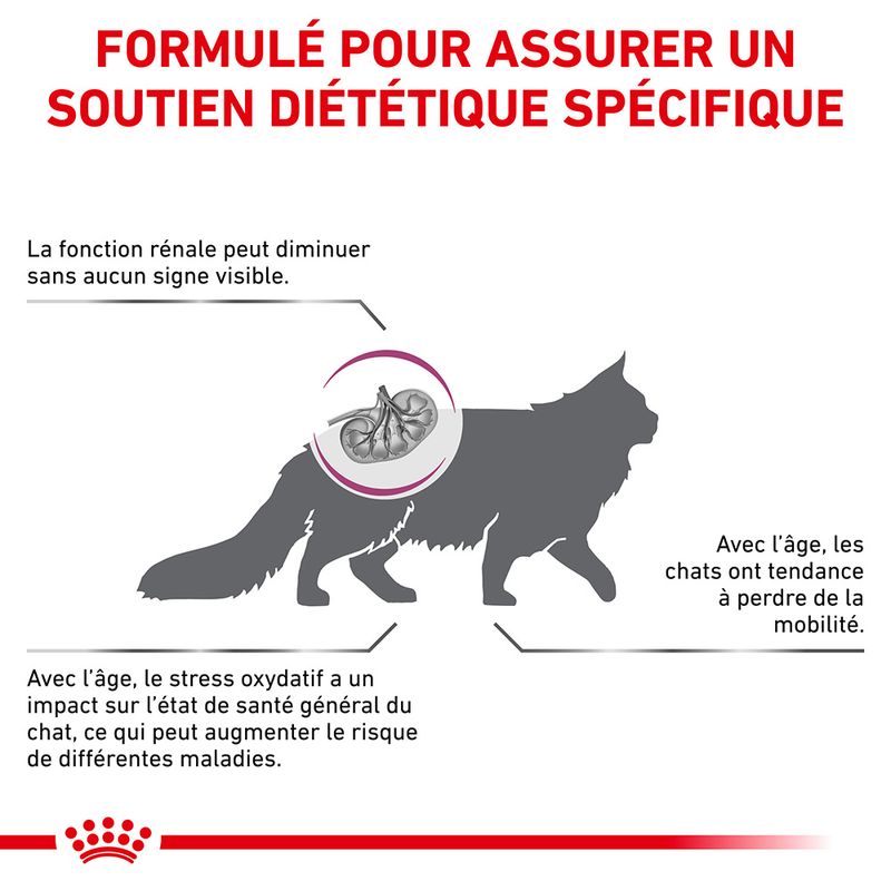 Royal Canin Veterinary Early Renal