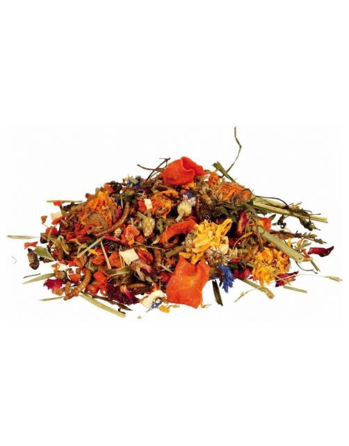 Trixie Natuurvoer-Mix Voor Baardagamen - Voer - 100 g