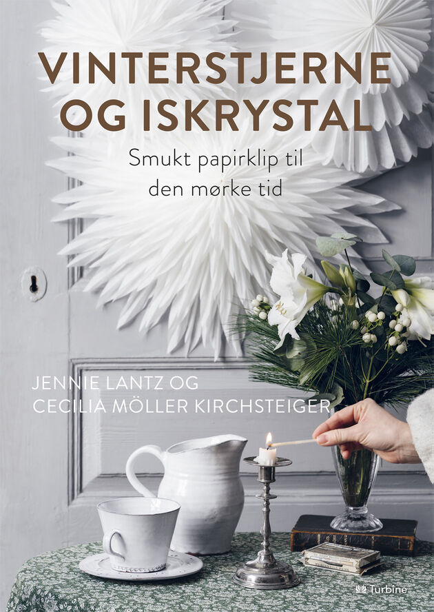 Bøger Vinterstjerne og iskrystal
