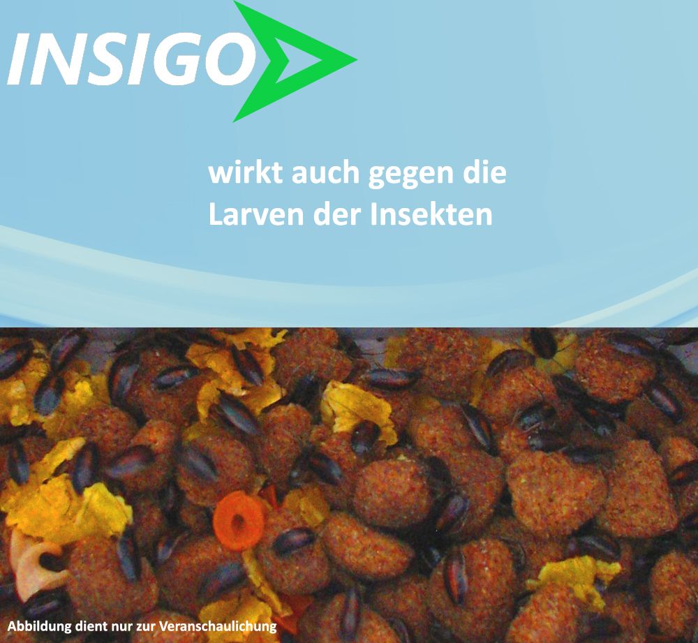 INSIGO Ameisenspray