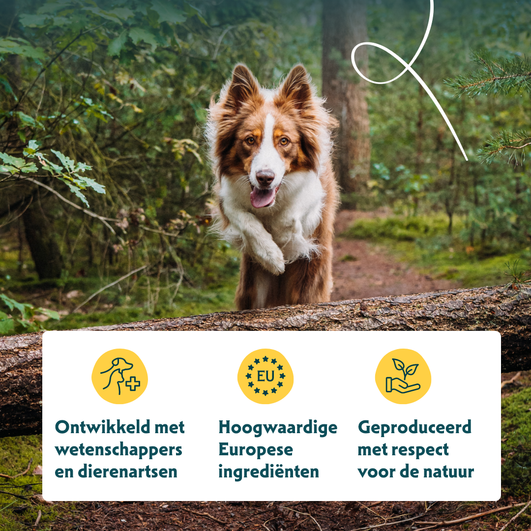 Yarrah - Natvoer Hond Blik Chunks met Kip Bio