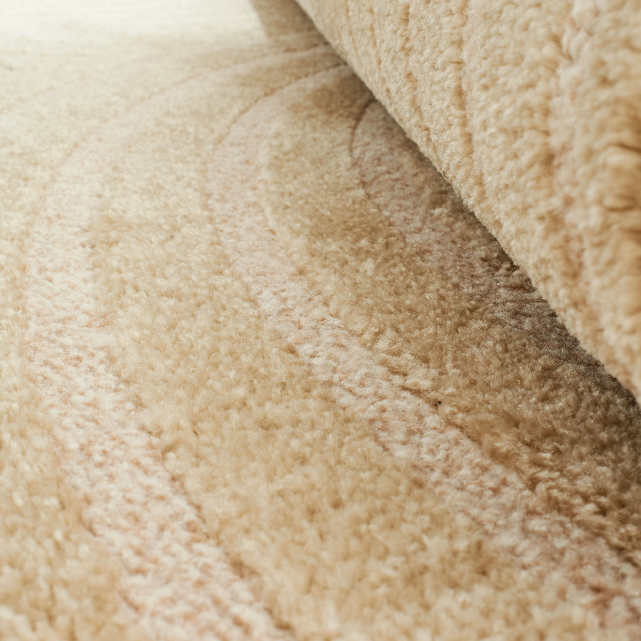 Nazar Rugs Tapis Bianca 157 beige - 200x290 cm