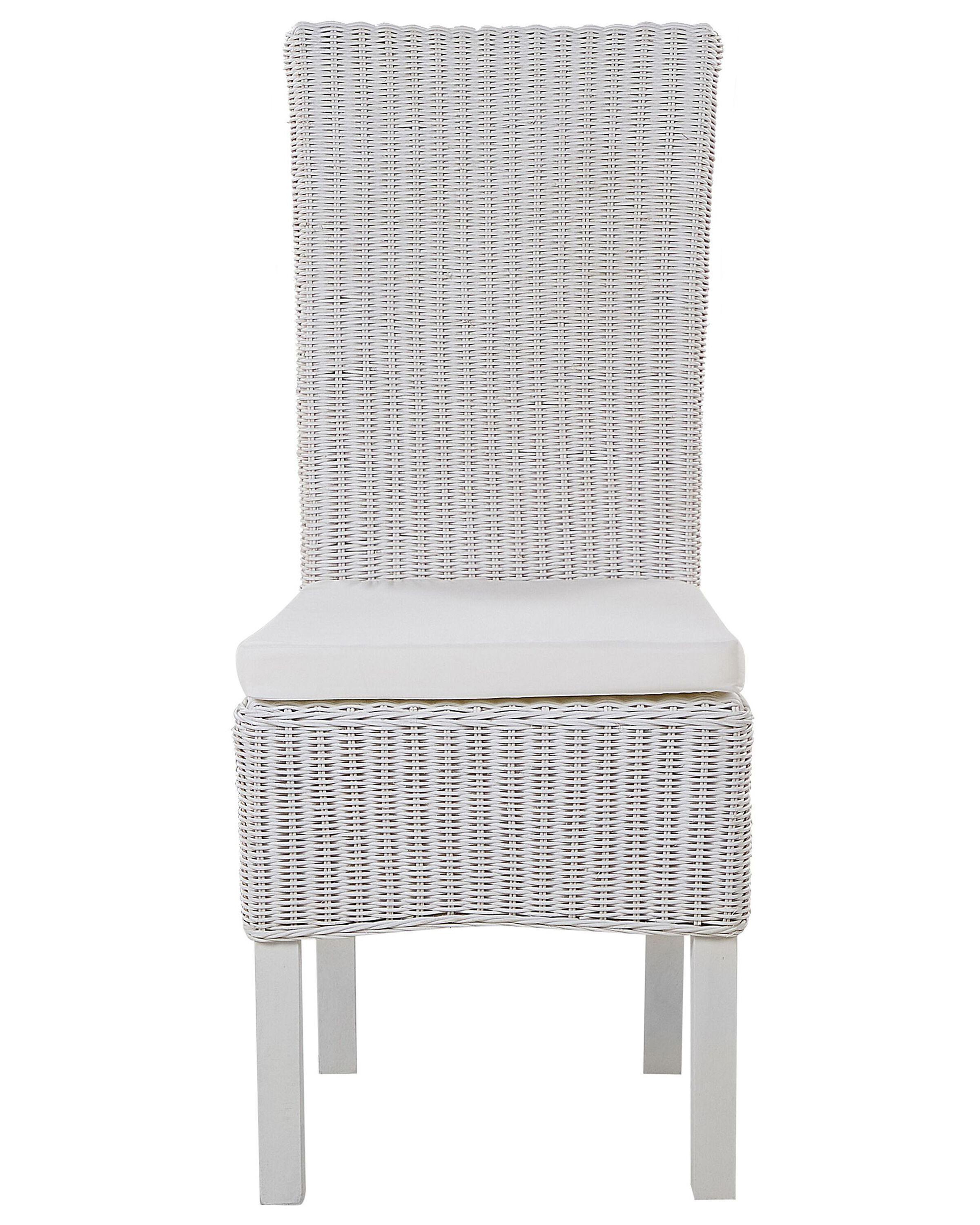 Set van 2 eetkamerstoelen ANDES Rotan Wit