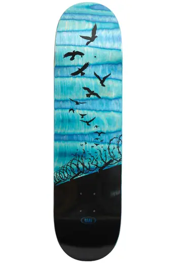 Real Set Free Spectrum Skateboard Deck | SkatePro