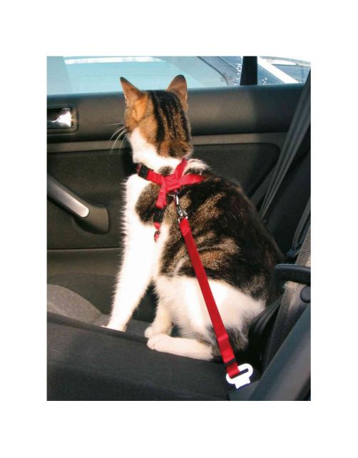 Trixie Auto-Tuig Voor Katten - Kattenharnas - 20-50 cm Rood