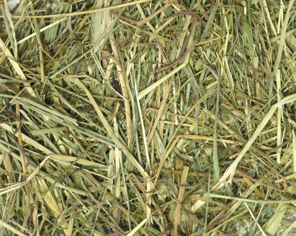 Ballot de foin bio • nourriture bio lapins, rongeurs, ruminants